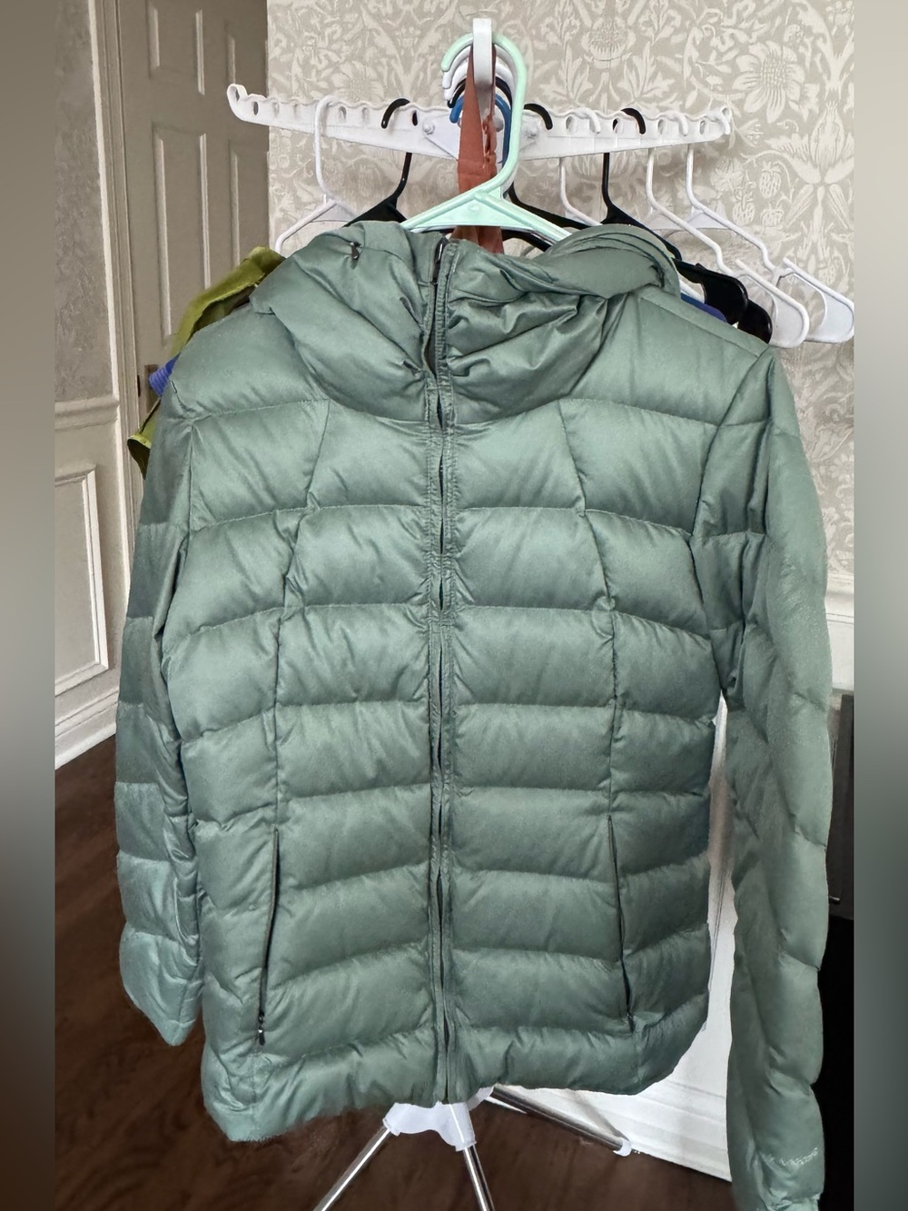 Patagonia Hooded Puffer Jacket